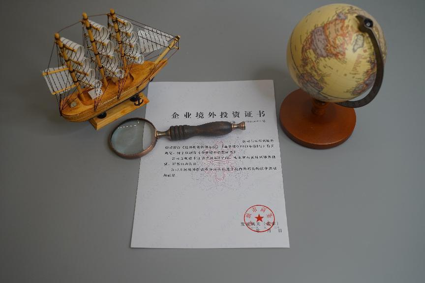 企业境外投资